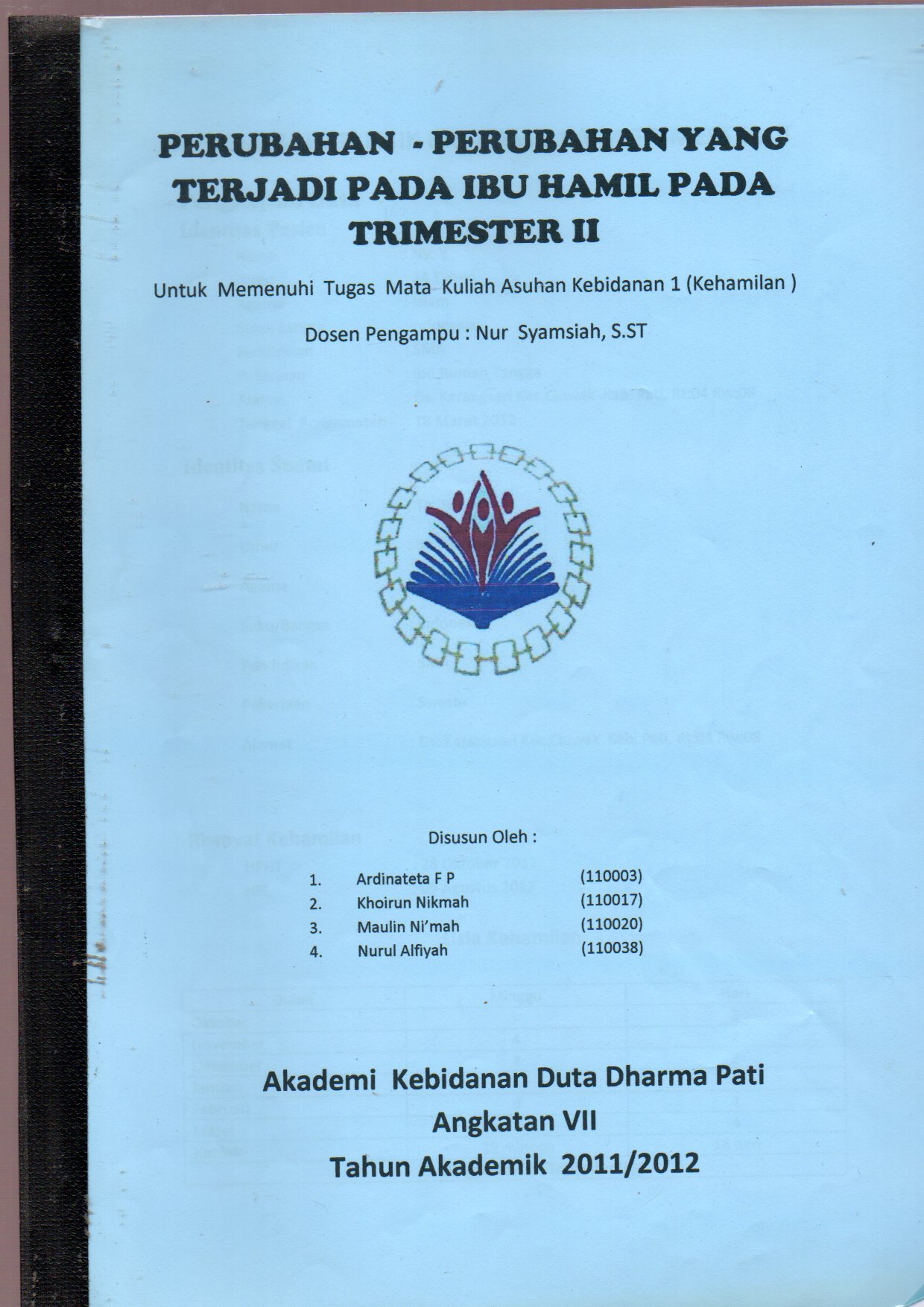 Perubahan-Perubahan Yang Terjadi Pada Ibu Hamil Pada Trimester II